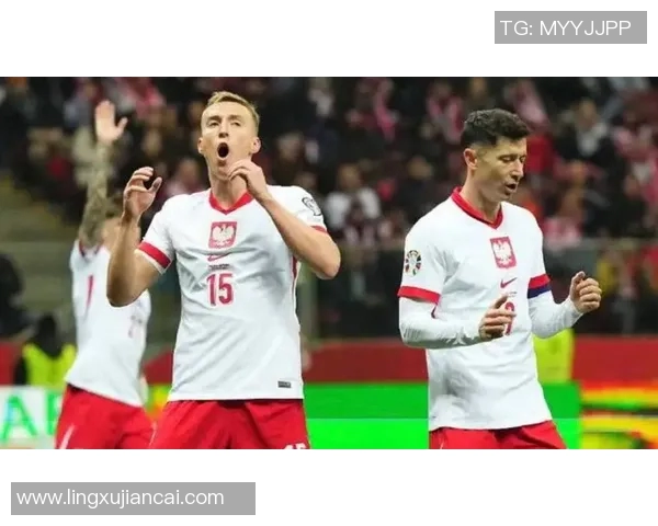 2012年欧洲杯激战回顾俄罗斯与波兰的精彩对决与历史意义分析