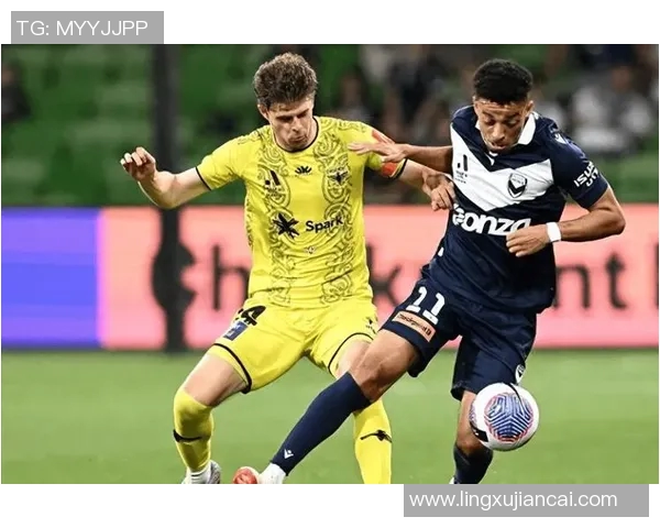 好惠灵顿凤凰迎战墨尔本胜利力争主场胜利展现球队实力